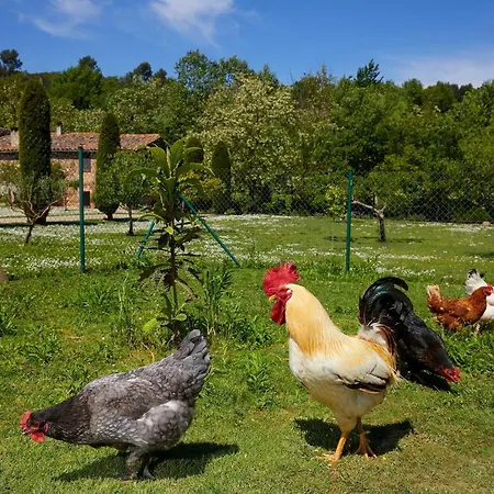 El Celler - Bonet Farm stay