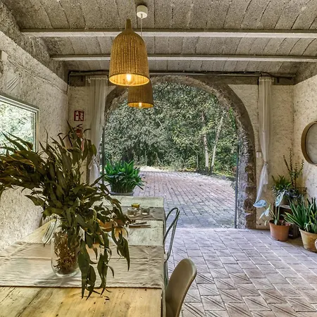 El Celler - Bonet * San Martí Vell