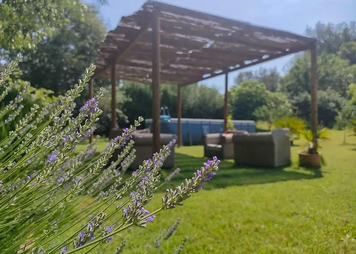 El Celler - Bonet * San Martí Vell